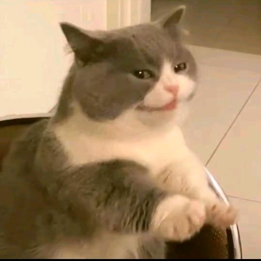 相逢想聚本无意