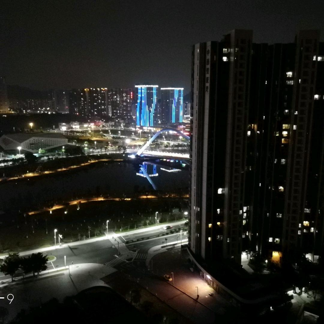 老米拉9号头像