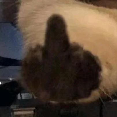 ：（