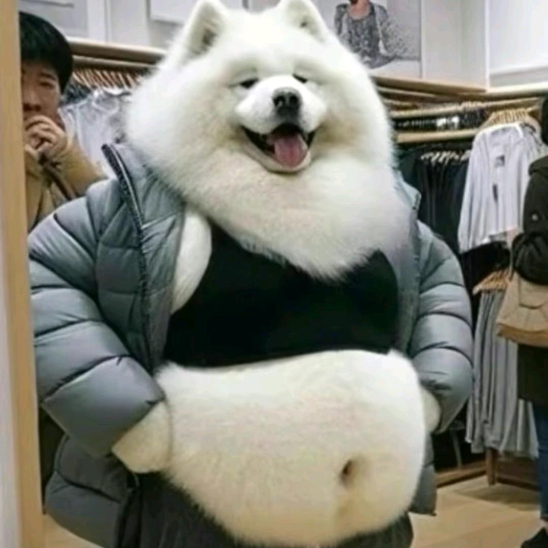 初杉槐