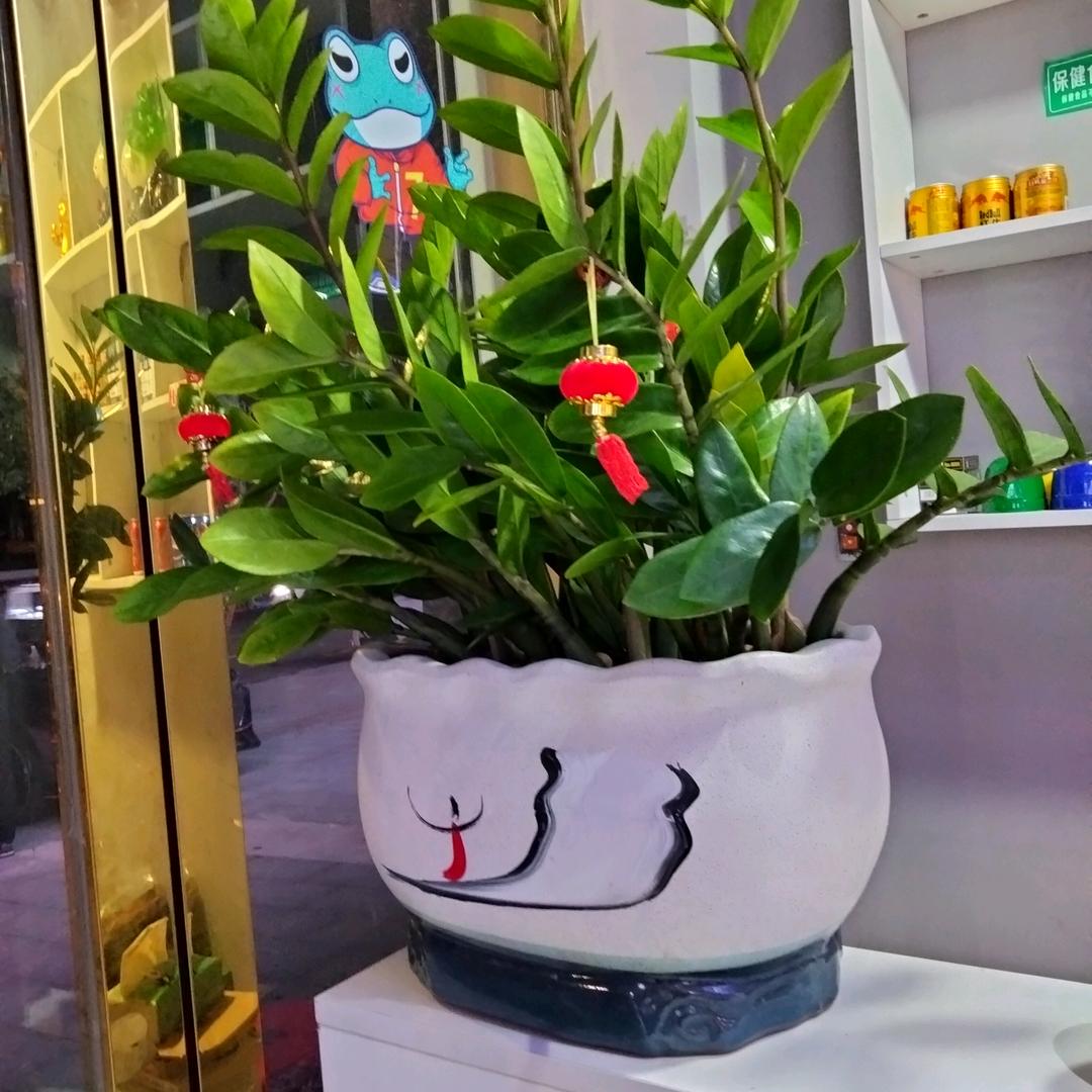 顺风顺水
