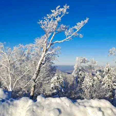 🚬꧔ꦿིྀ叼烟走ঞ天下ꦿ᭄࿐