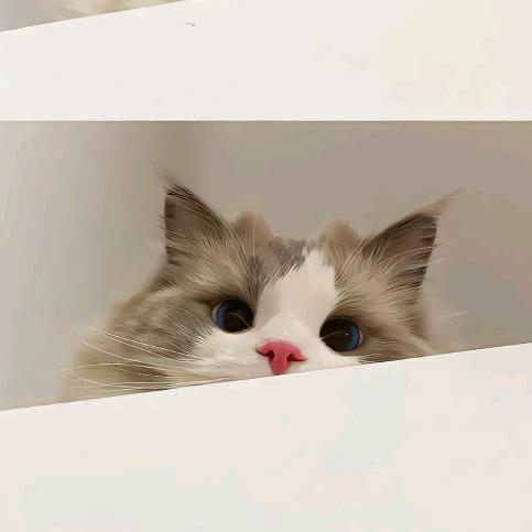 ˙Ⱉ˙