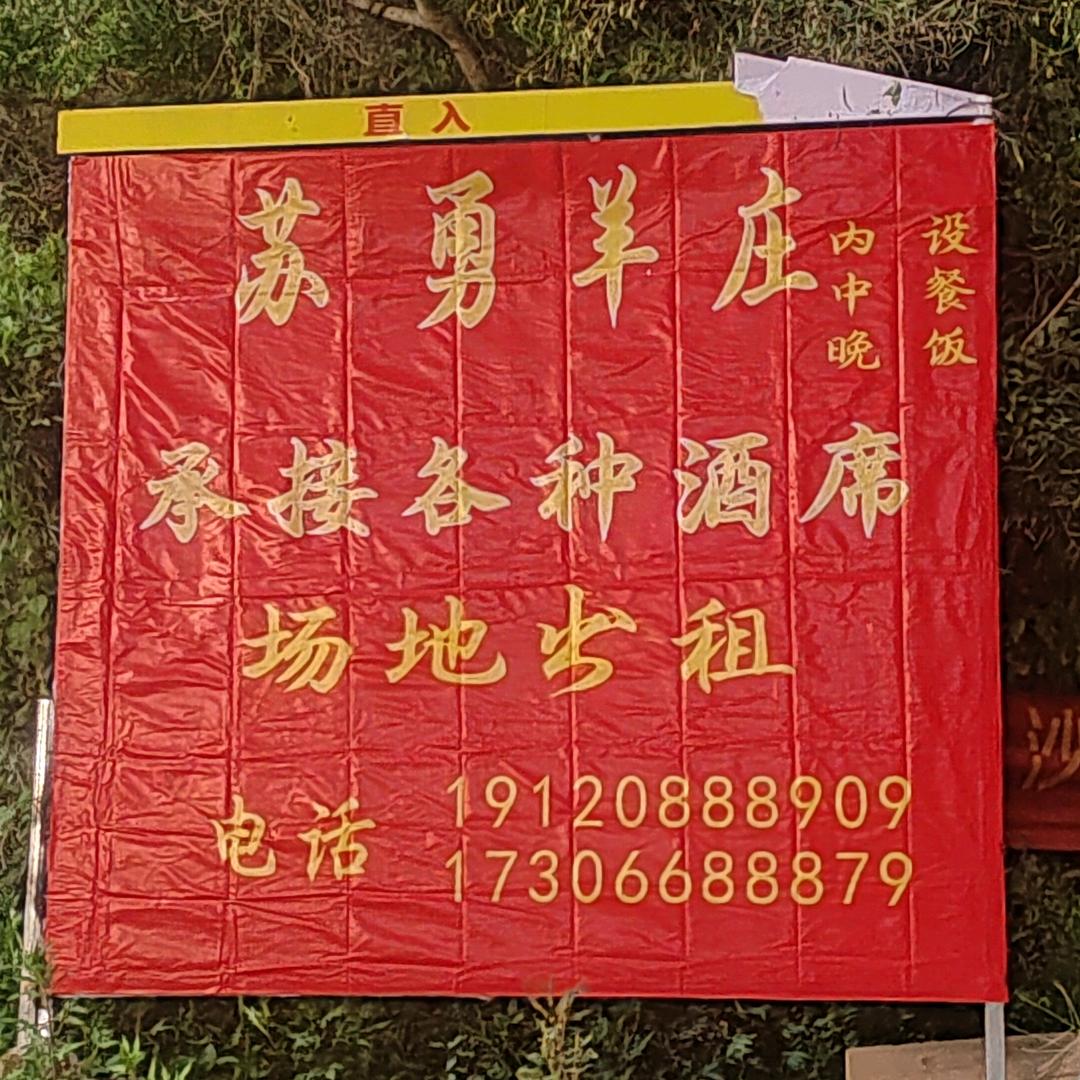 苏勇羊庄