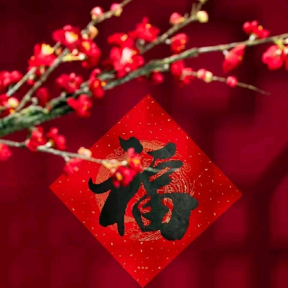 洋洋得亿🐬