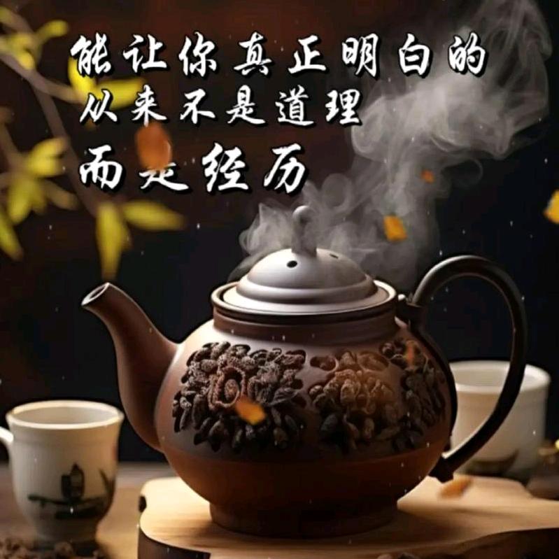 🇨🇳感悟人生🇨🇳