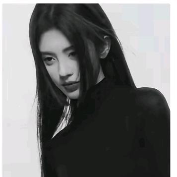 kiku