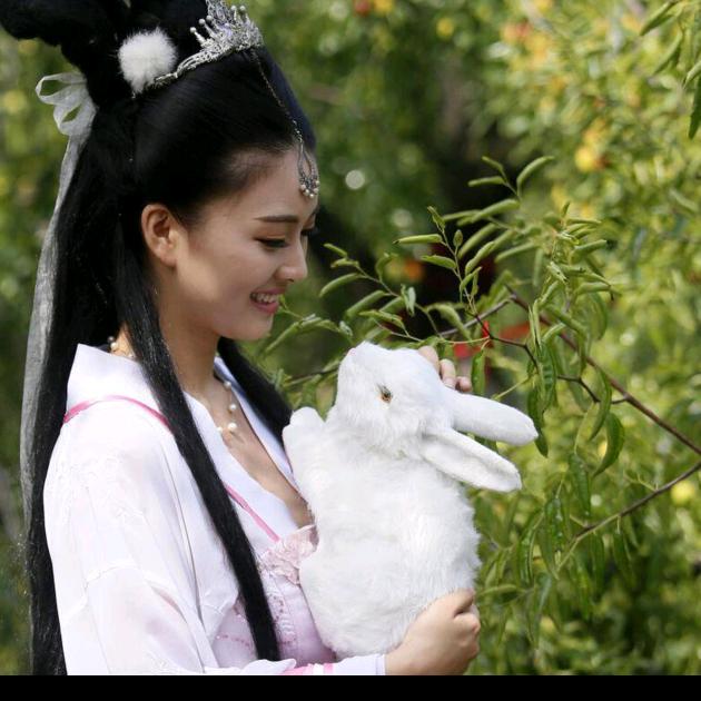 寒来梅香