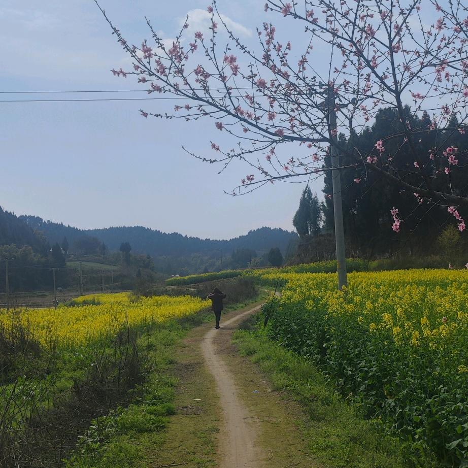 味道