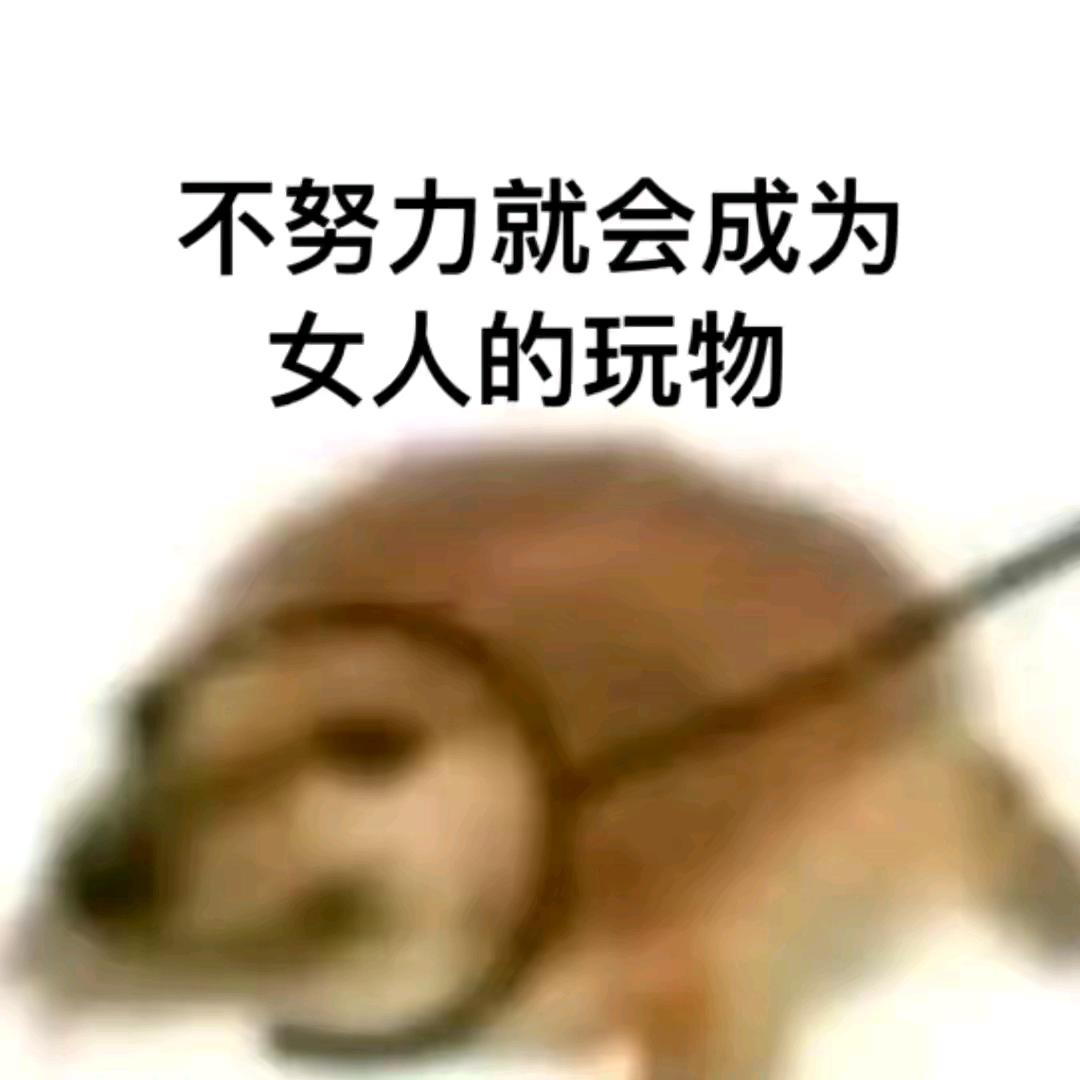 郫县豆瓣酱（王林峰赞过版）