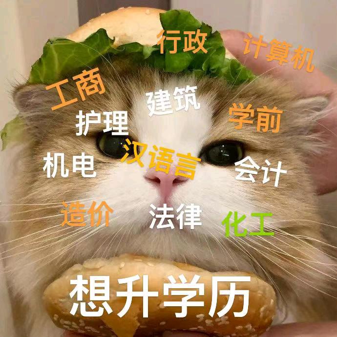 老师我要升学历