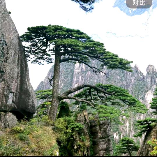 晴添