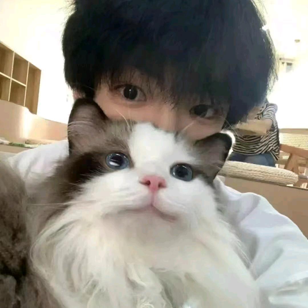 星坠海