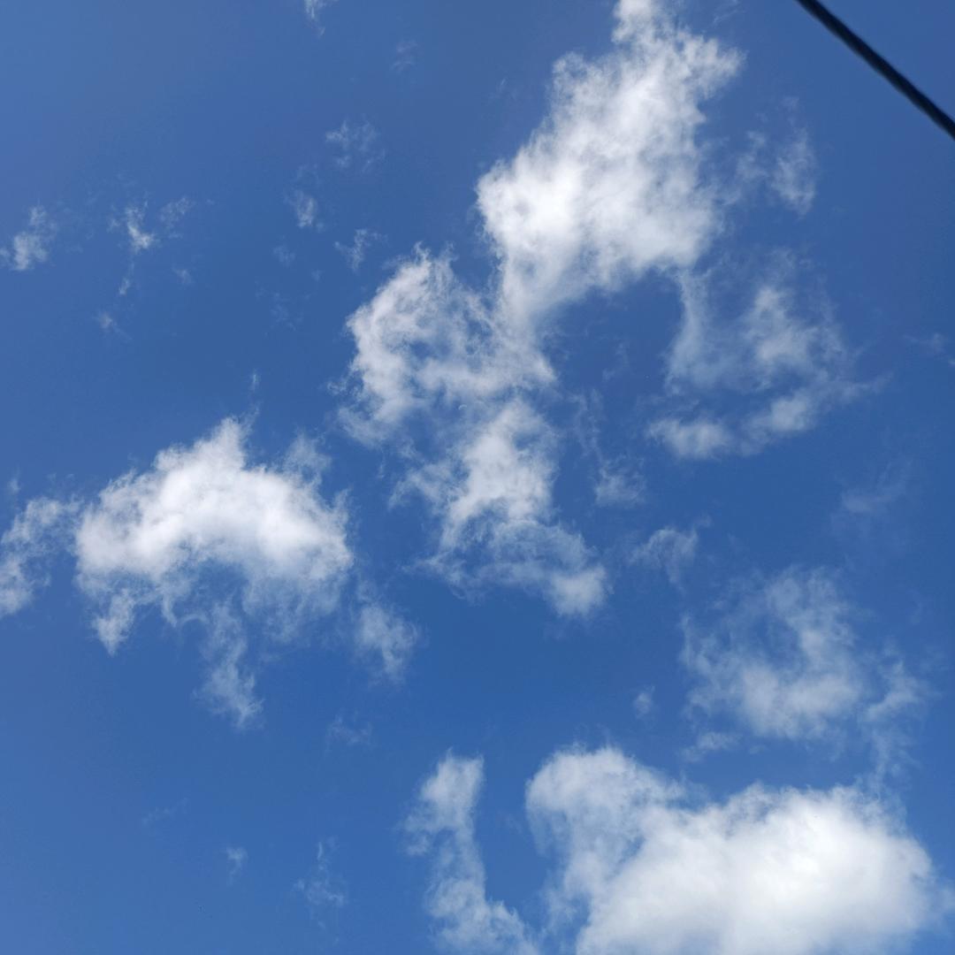 想念