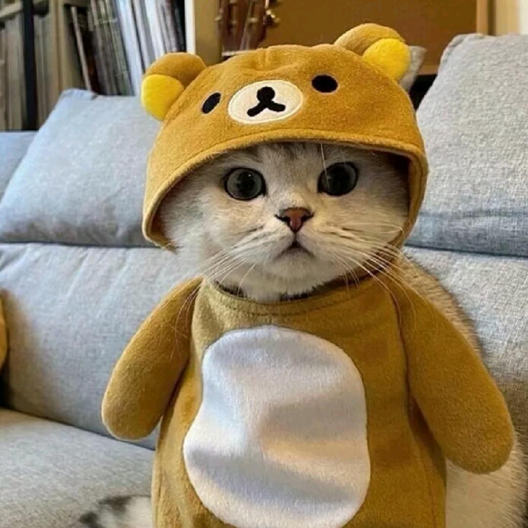 我娃他爹