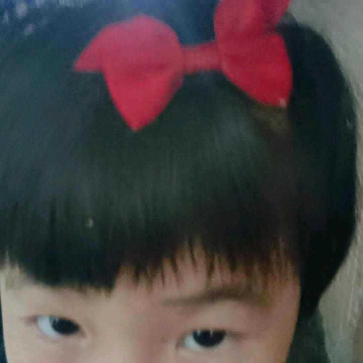 广州 赵田英 赵小庒
