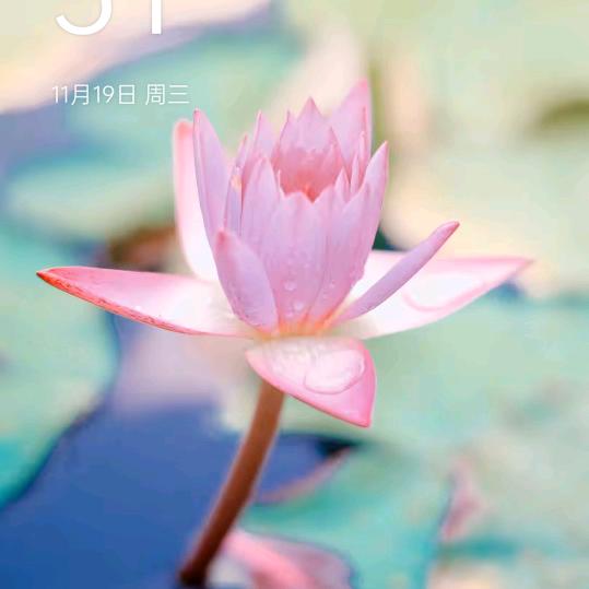 东北牛官，二少