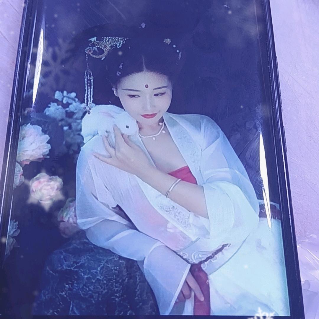 疯心锁愛