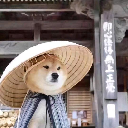 季节