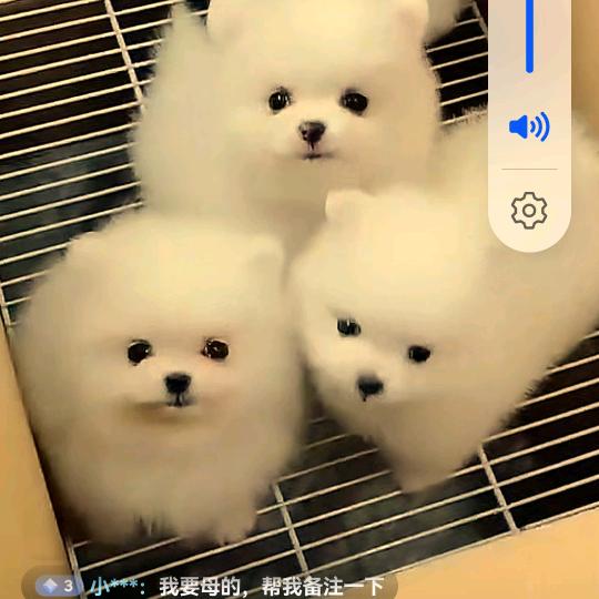 无所谓