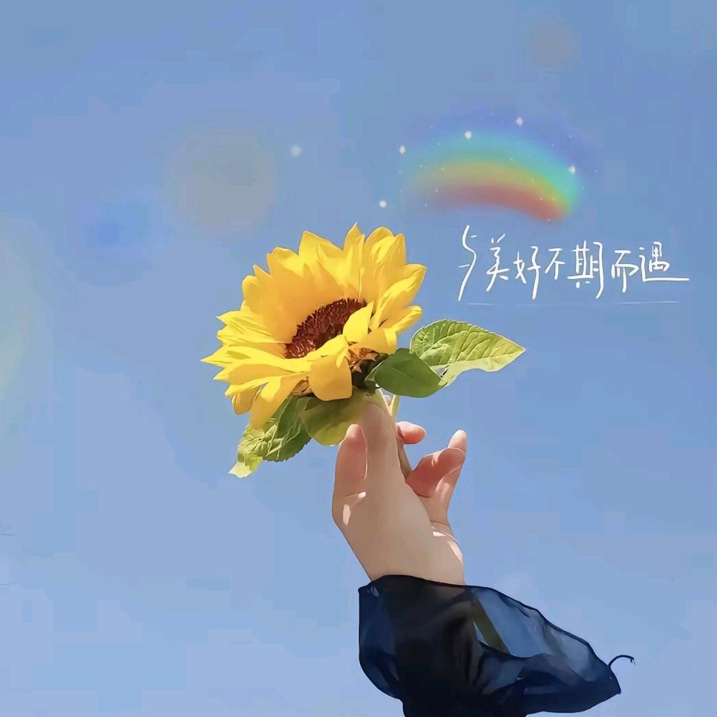 陸陸⁸⁰⁸⁷✨