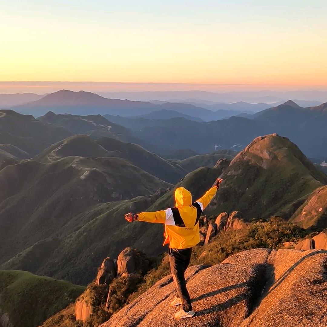 因为爱，所以爰