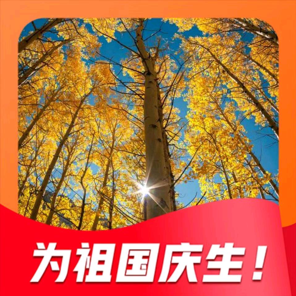 繁花似锦