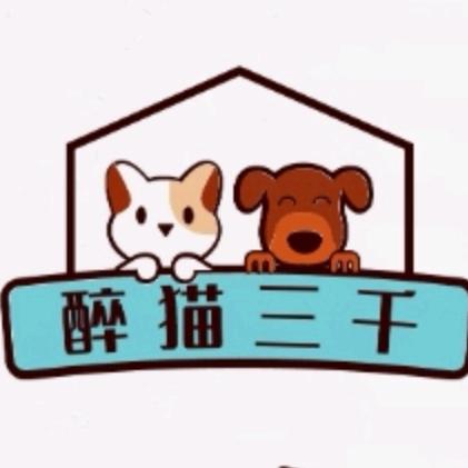 醉猫三千