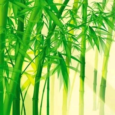 智博