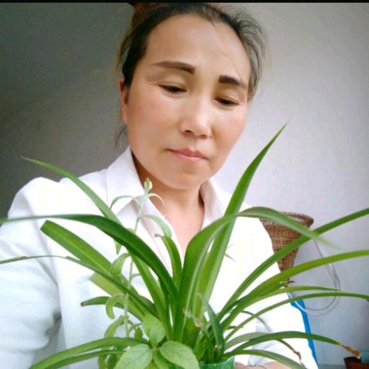 四川蓉姐