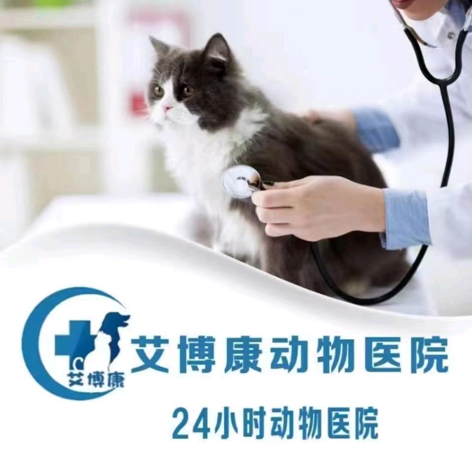 兰州艾博康动物医院有限公司