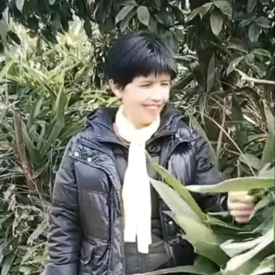 荷花开了