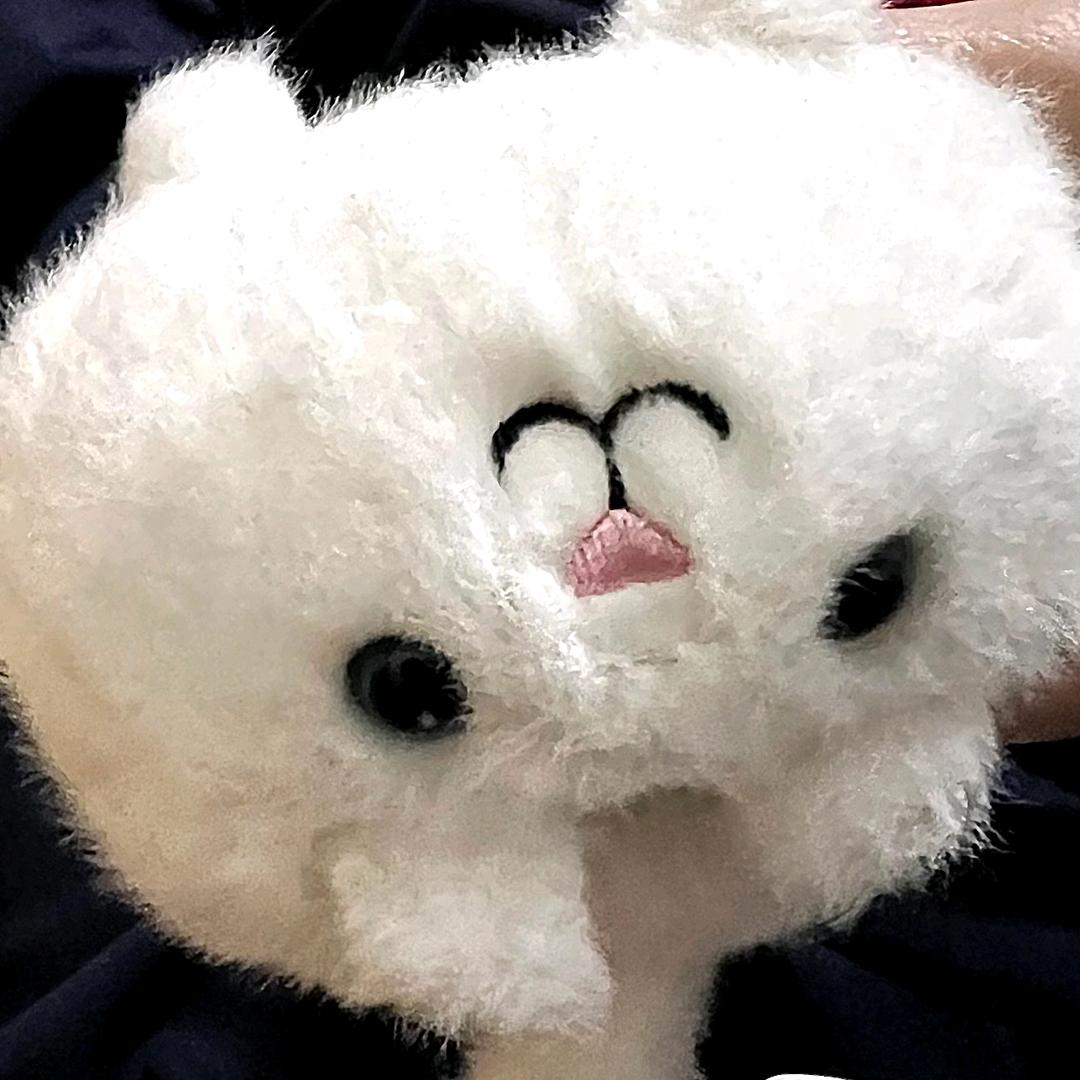 爱炖虾仁