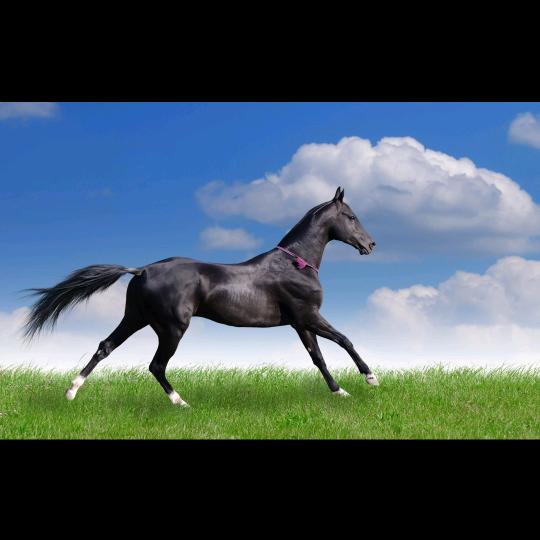 逗你玩（已关注上限，明天回关）