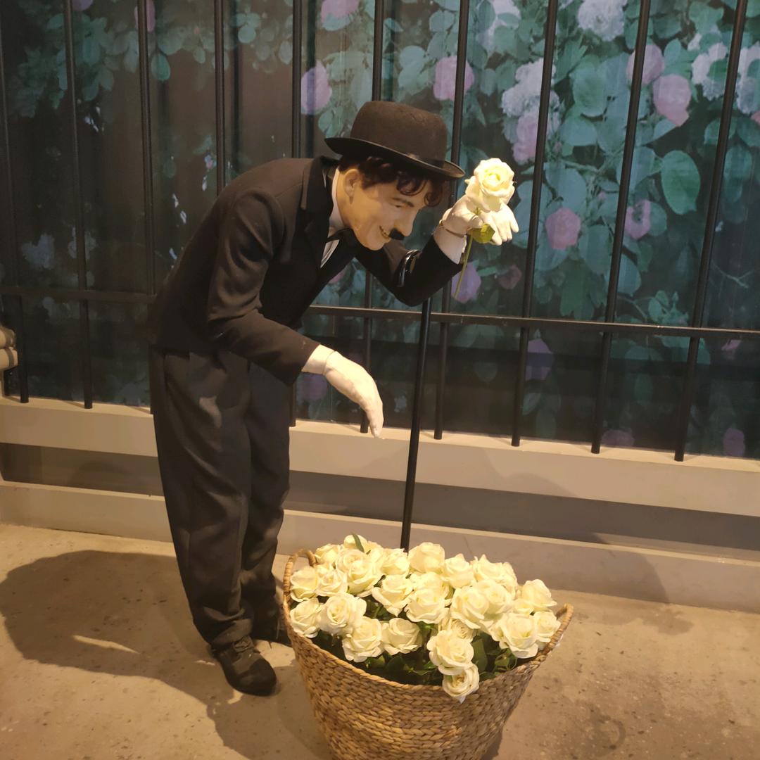 蓝月亮