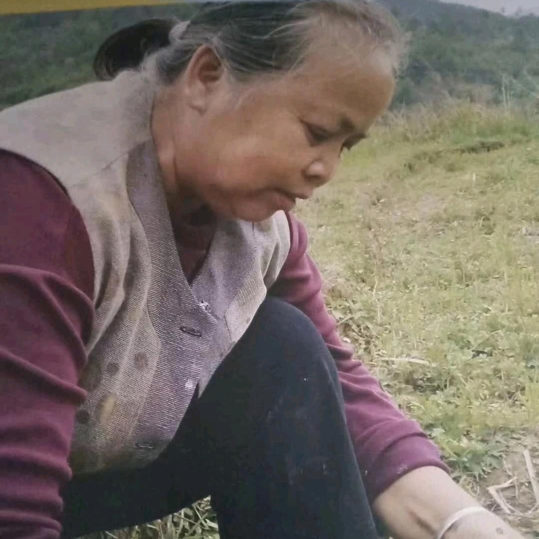 听姥姥讲事