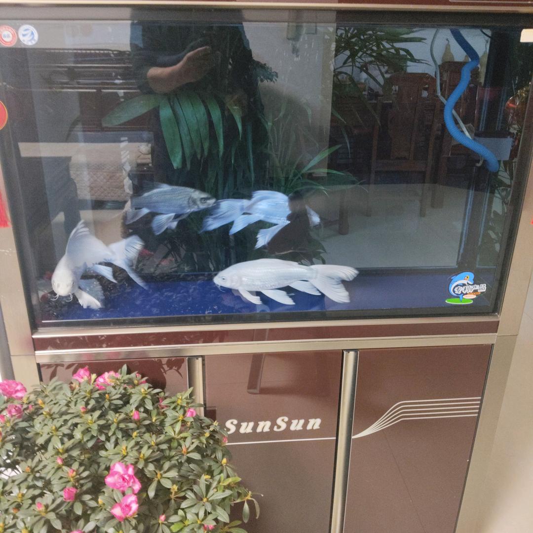 佛说：无缘