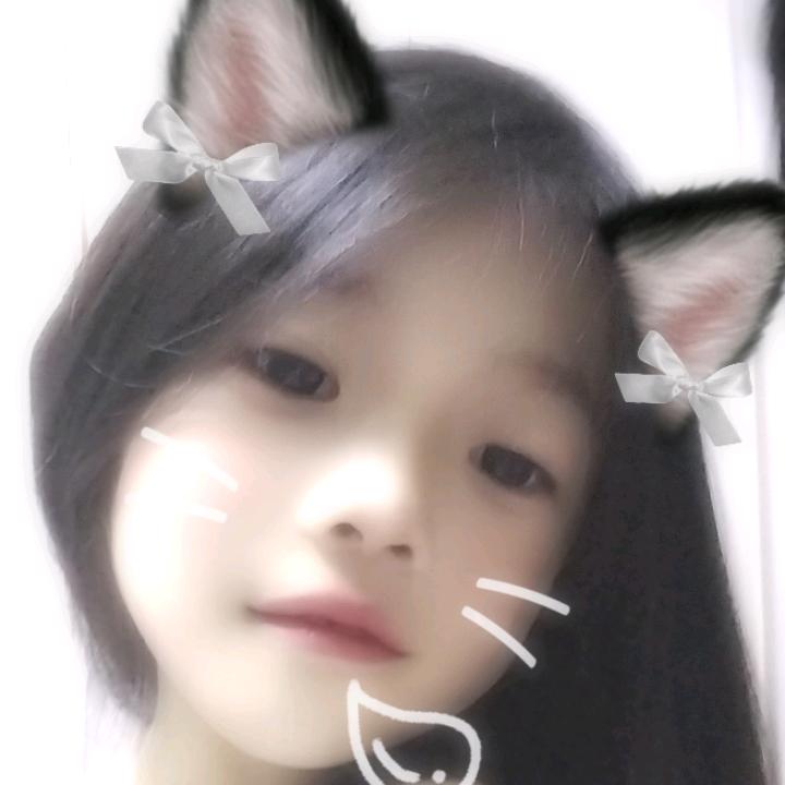 汧鈊寳赑