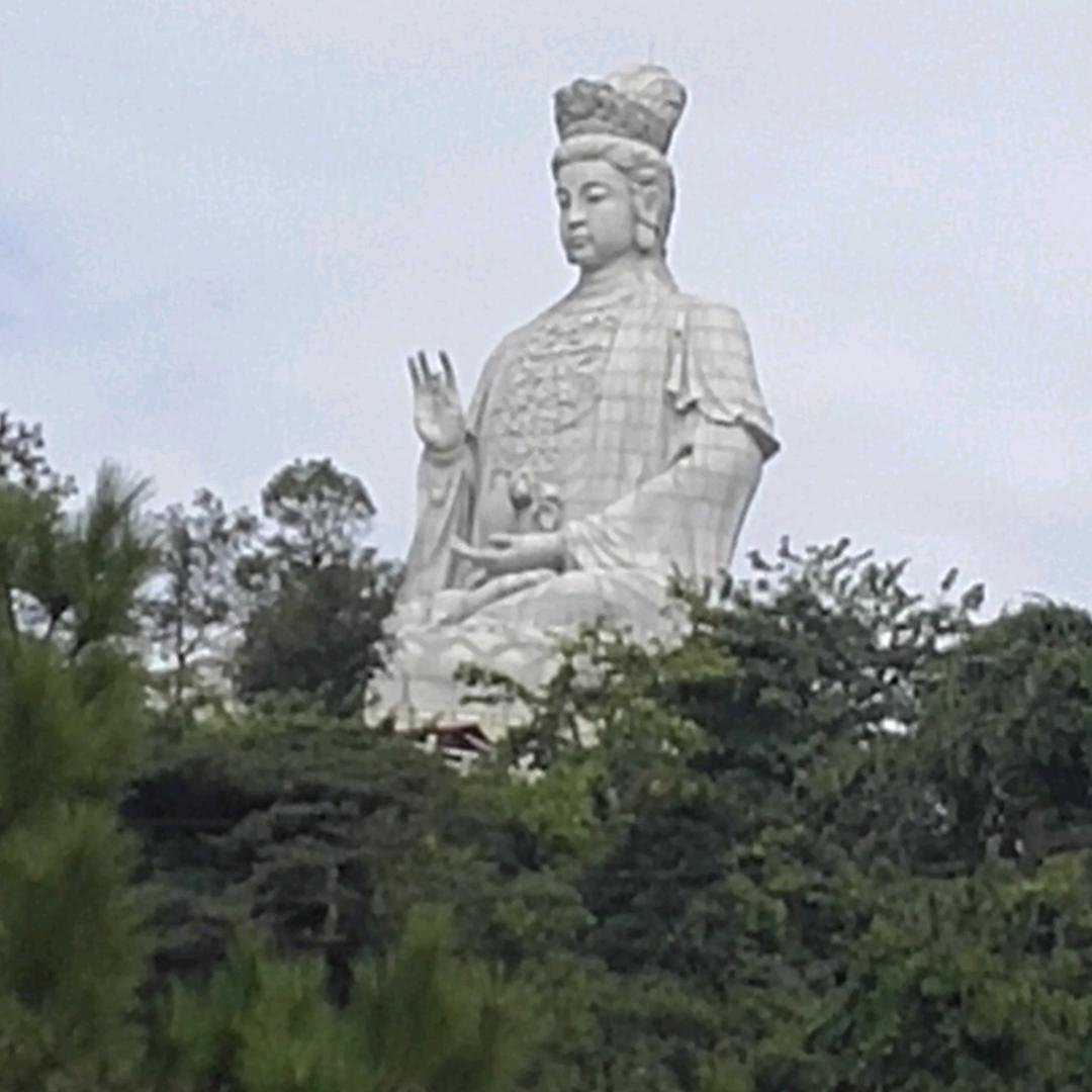 一见钟情