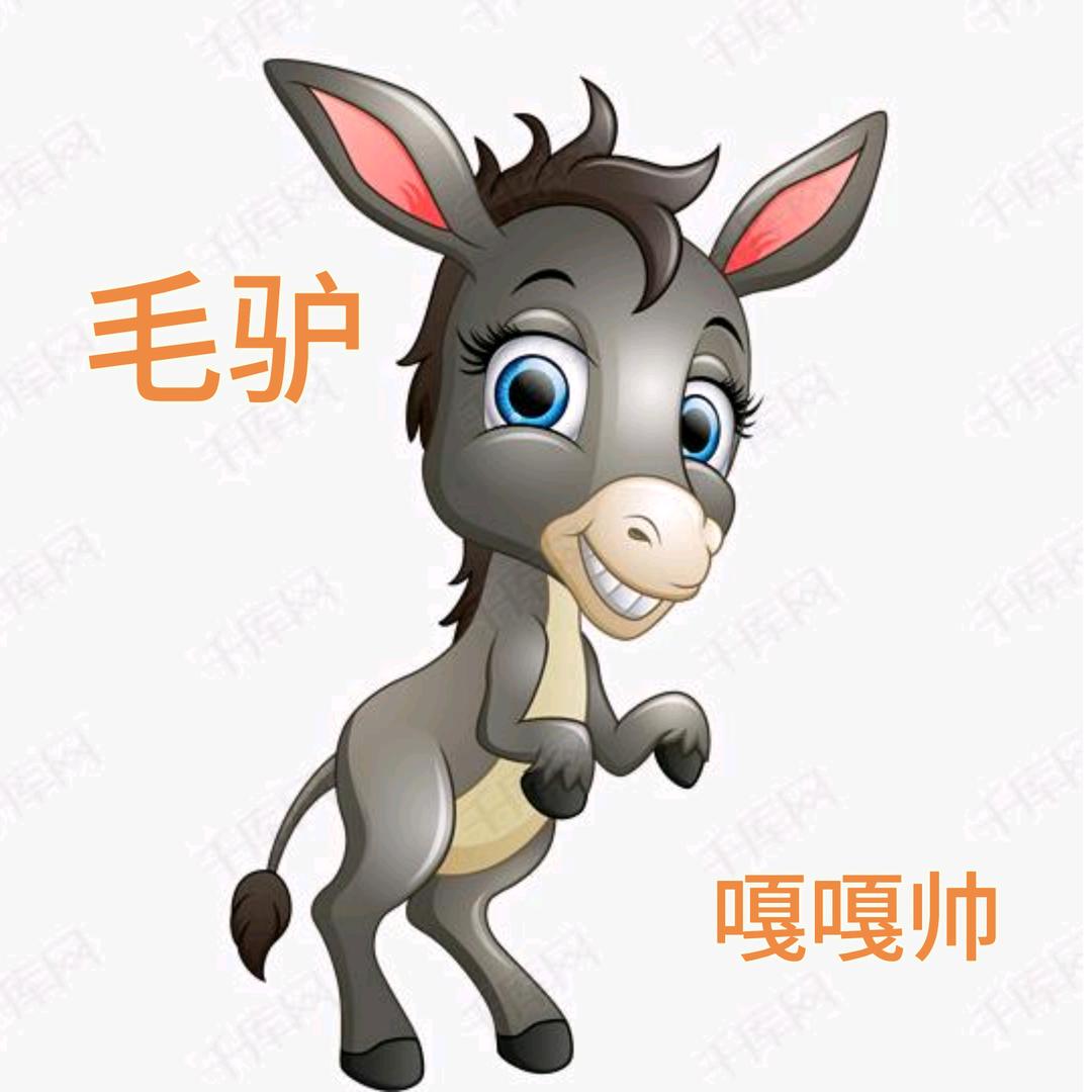 毛驴优选