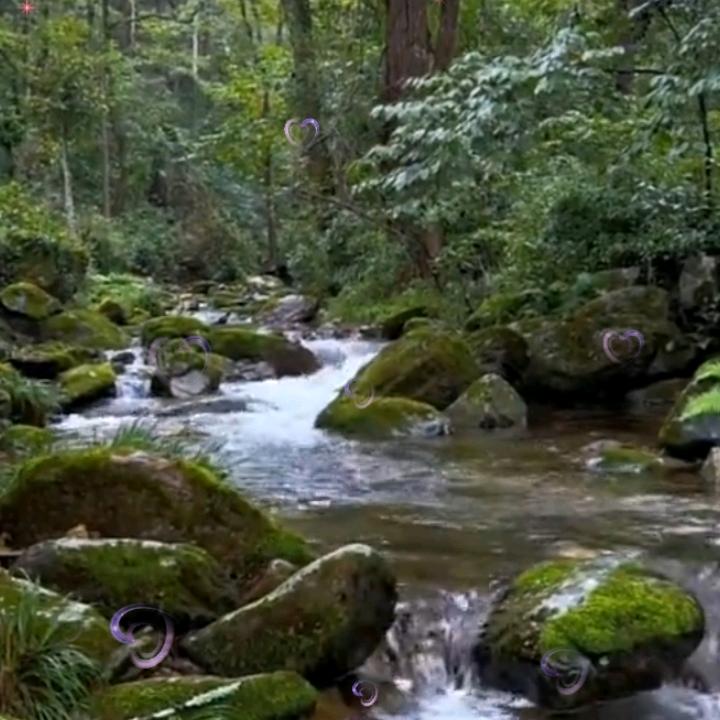 小白哥