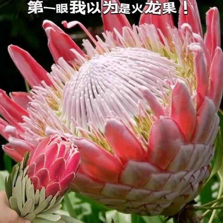 浪迹天涯