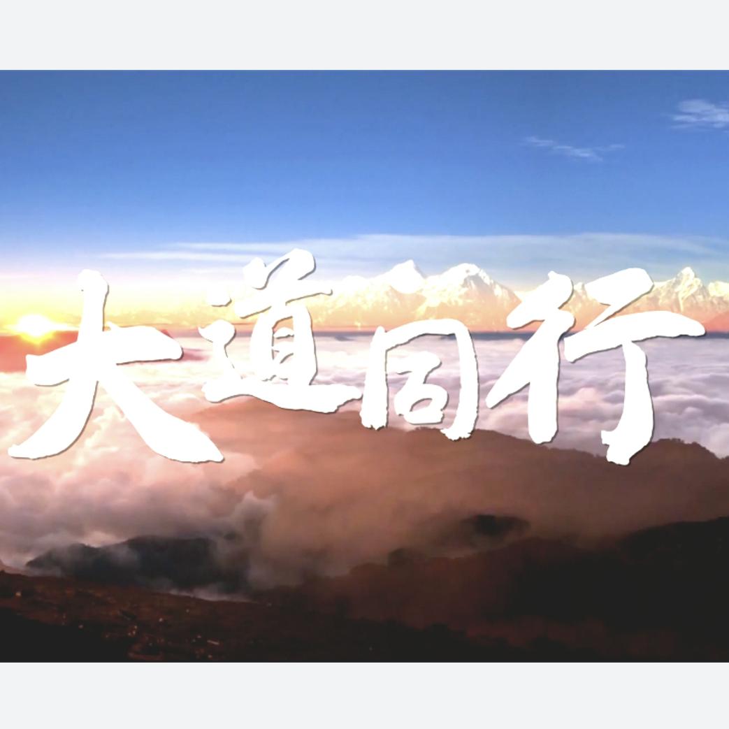 -大道同行-