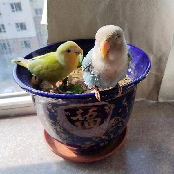 ❤ 人间太吵了住我心里吧⁰⁴¹⁵