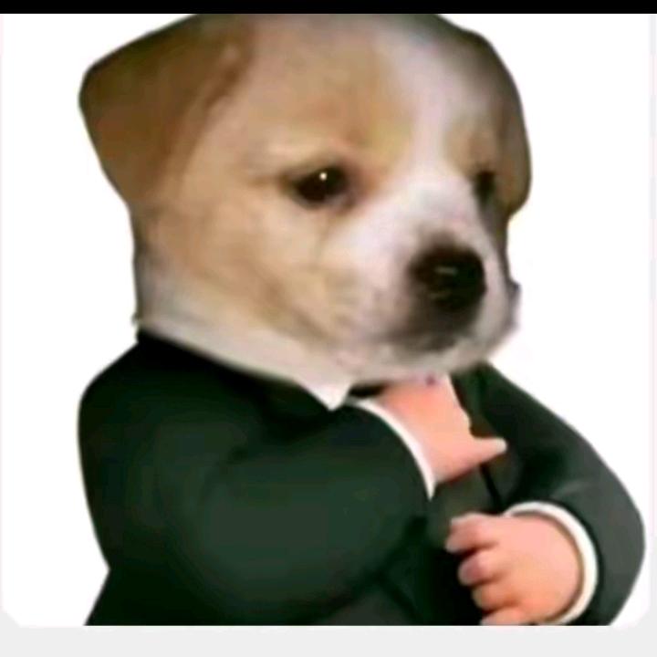 如梦