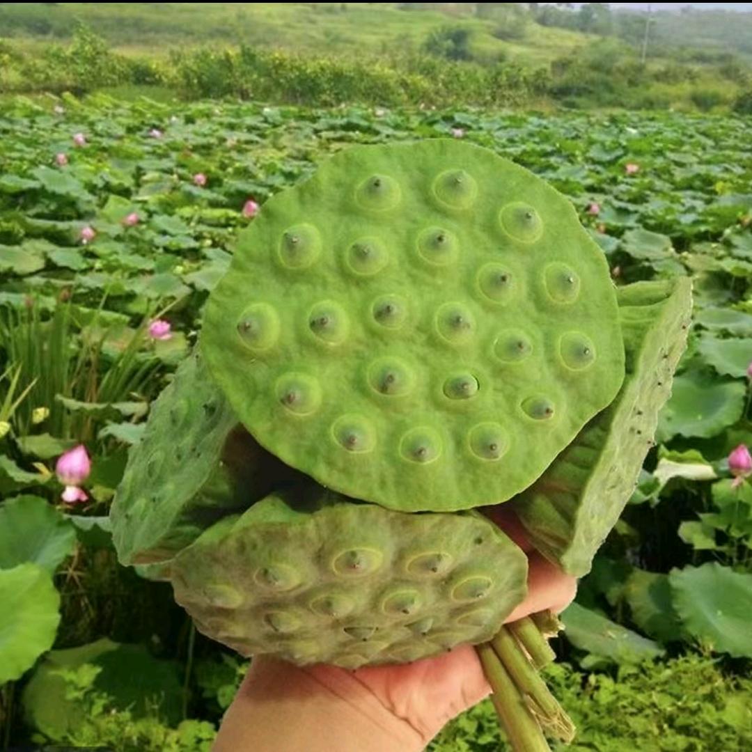 广昌莲味坊