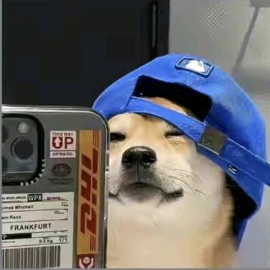阿孑