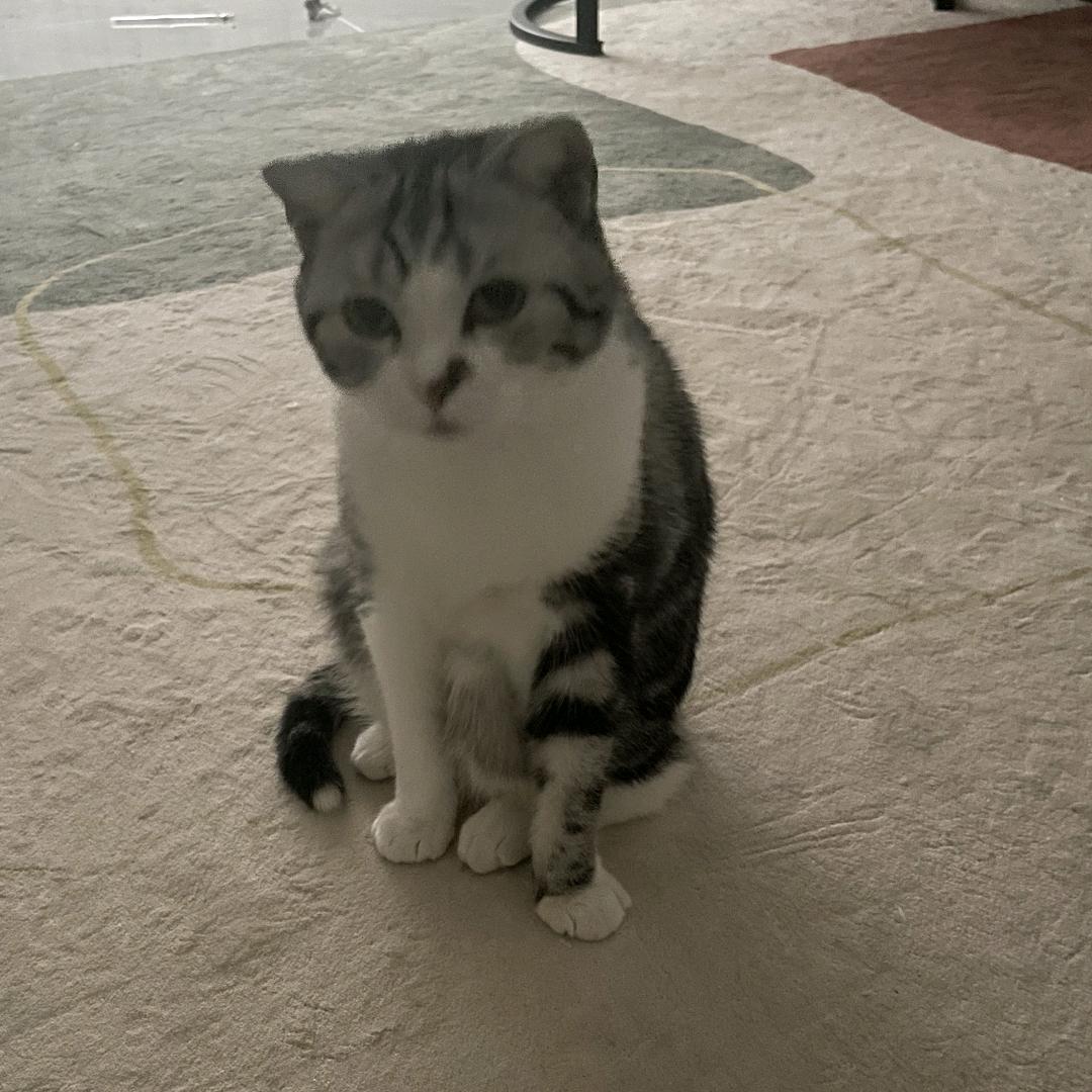 暗中讨饭