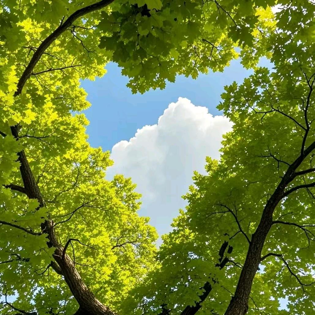 爱的天使