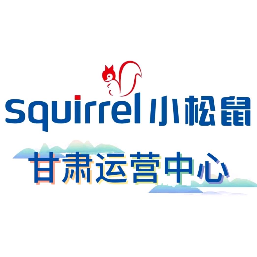 小松鼠壁挂炉甘肃运营中心官方号